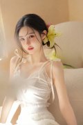 国产传媒宝物的扇